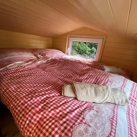 Апартаменты Tiny House *